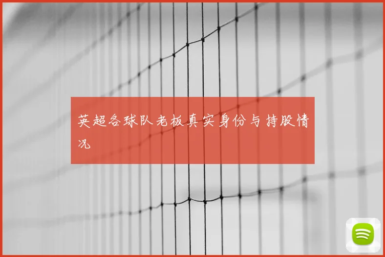 英超各球队老板真实身份与持股情况