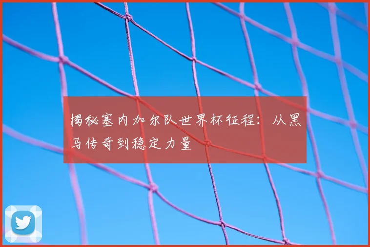 揭秘塞内加尔队世界杯征程：从黑马传奇到稳定力量
